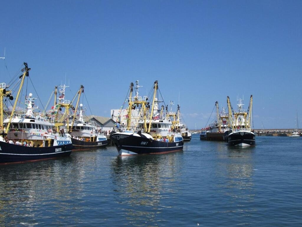 A Modern And Cosy Apartment Just Yards From Brixham'S Bustling Harbourside 외부 사진